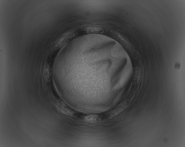 X0000091170761200708301155