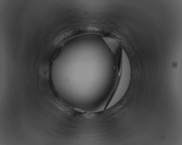 X0000091170762200708301155