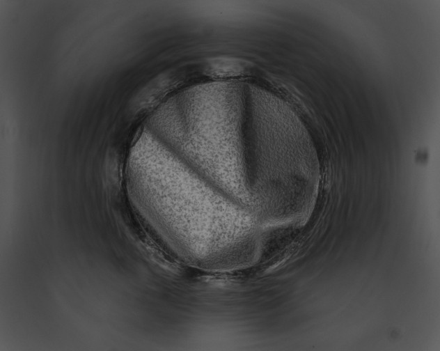 X0000091170763200708301155