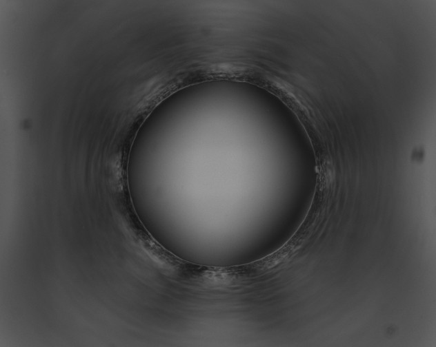 X0000091170764200708301155