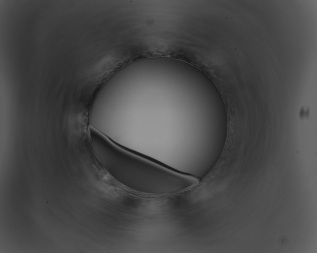 X0000091170768200708301155