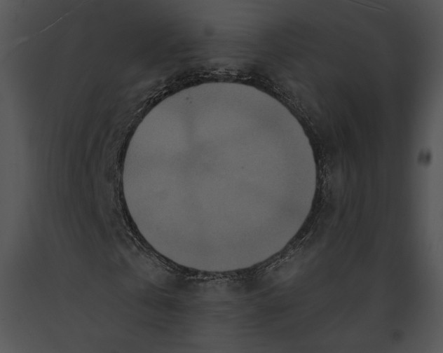 X0000091170769200708301154