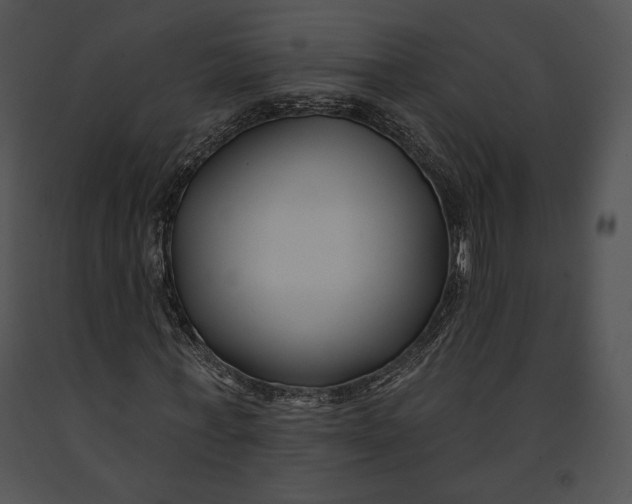 X0000091170771200708301154