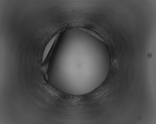 X0000091170772200708301154