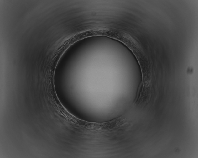 X0000091170773200708301154