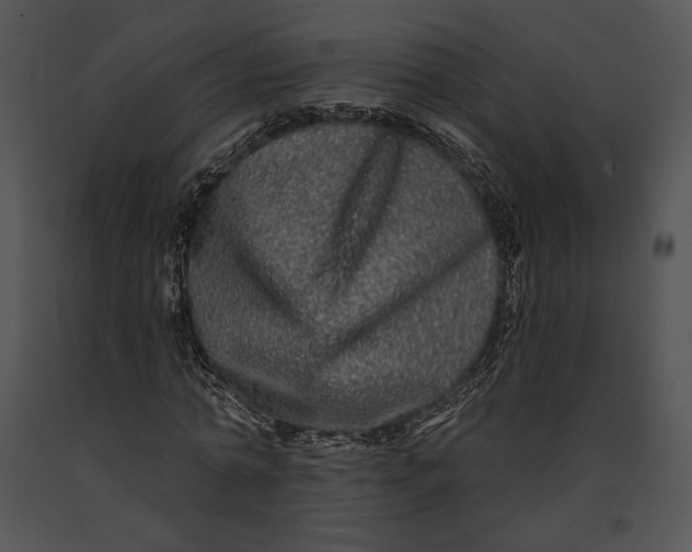 X0000091170774200708301154