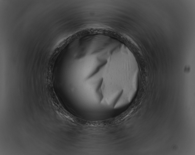 X0000091170775200708301154