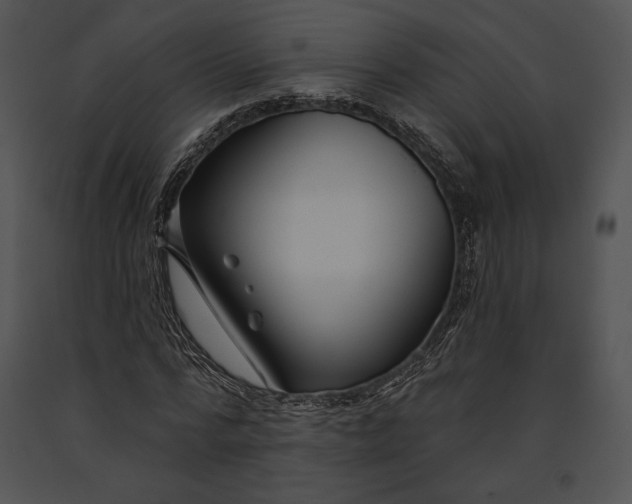 X0000091170776200708301154