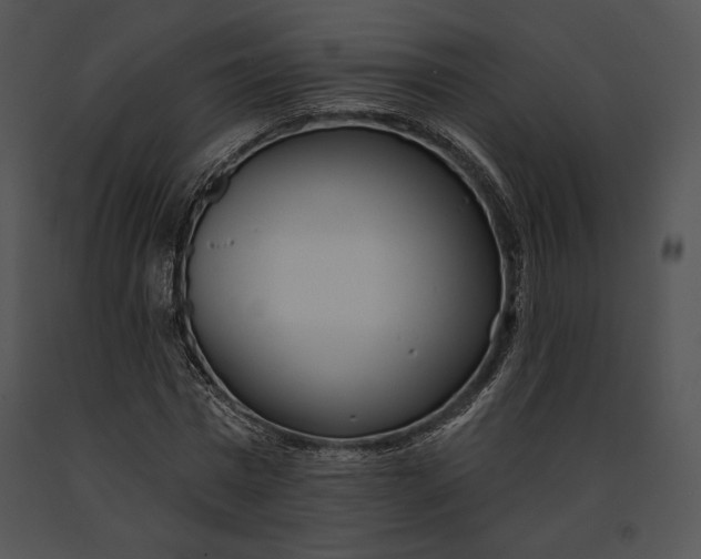 X0000091170777200708301154