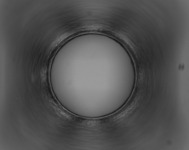 X0000091170778200708301154