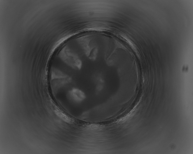 X0000091170779200708301154