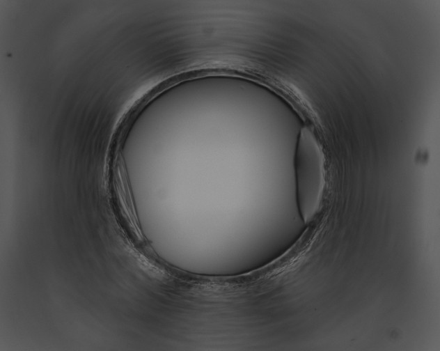 X0000091170780200708301154