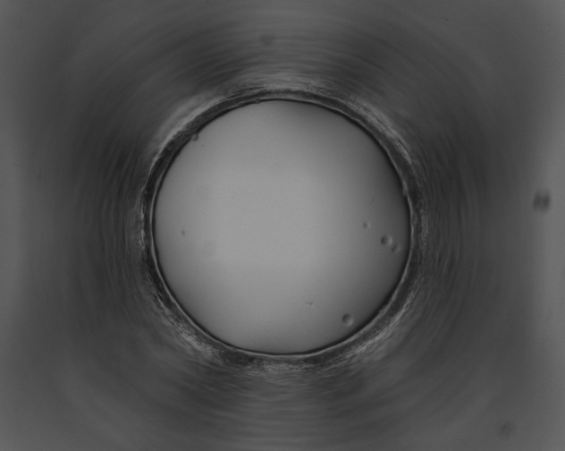 X0000091170782200708301154