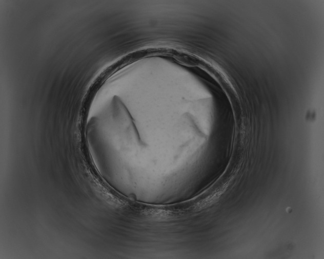 X0000091170783200708301154