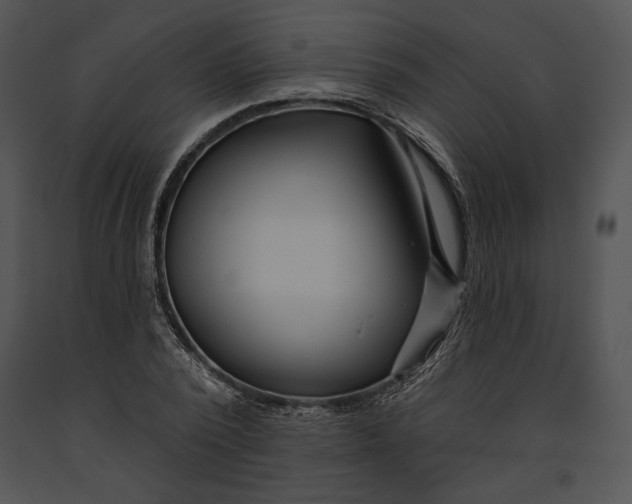 X0000091170784200708301154