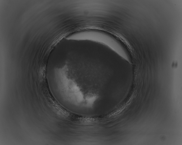 X0000091170785200708301154