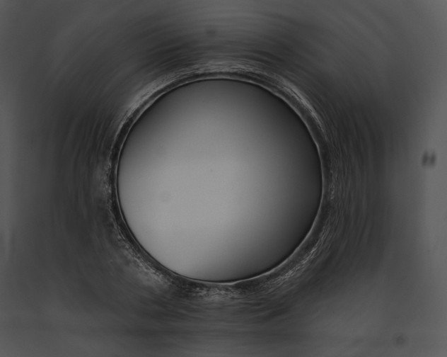 X0000091170786200708301154