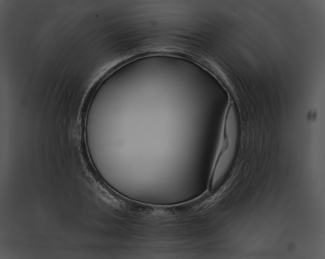 X0000091170787200708301154