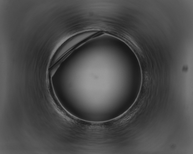 X0000091170788200708301154