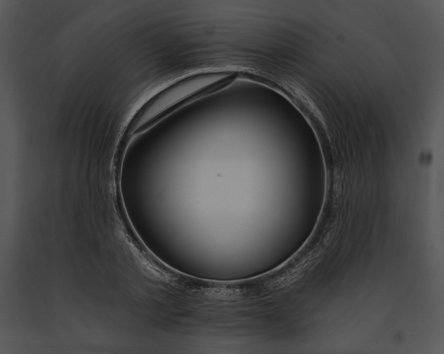 X0000091170789200708301154