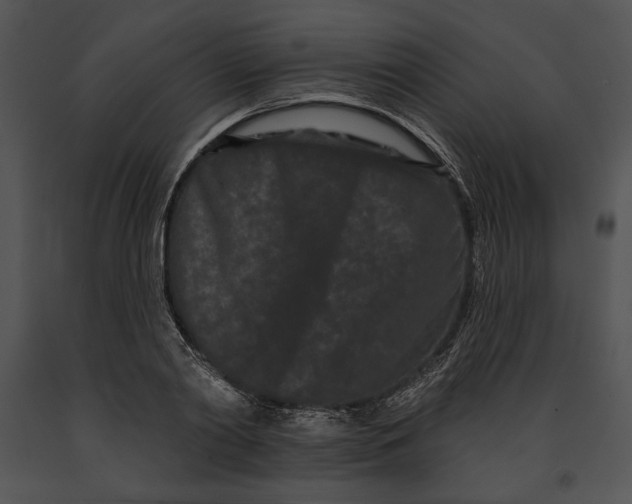 X0000091170790200708301154