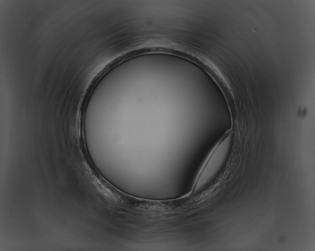 X0000091170791200708301154