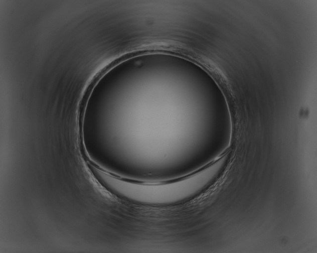 X0000091170792200708301154