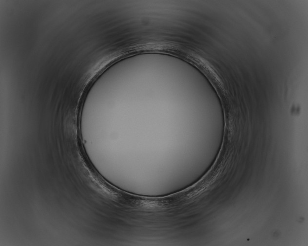 X0000091170794200708301154