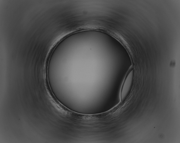 X0000091170795200708301154