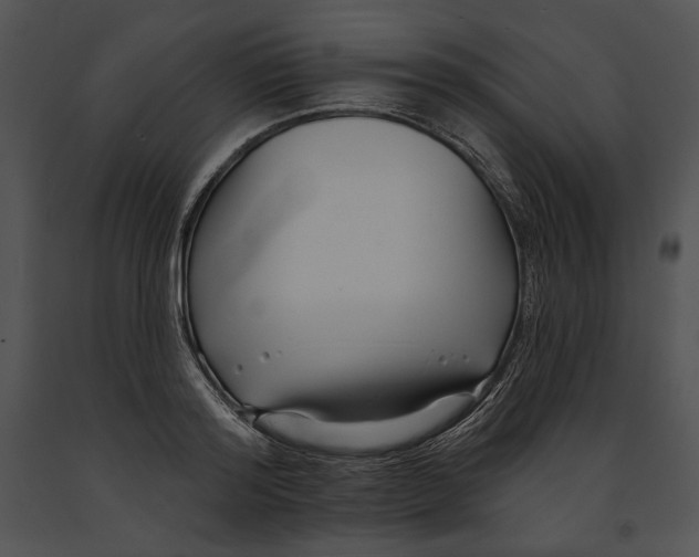 X0000091170796200708301154