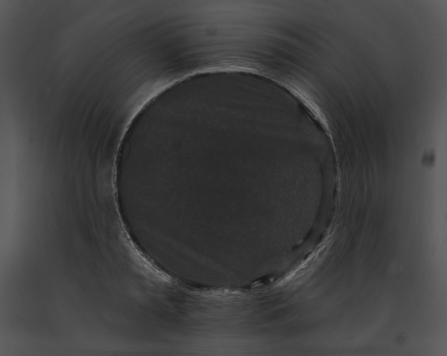 X0000091170797200708301154