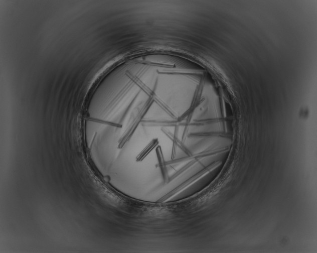 X0000091170798200708301154