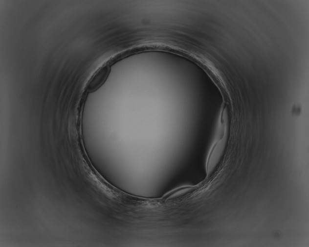 X0000091170799200708301154