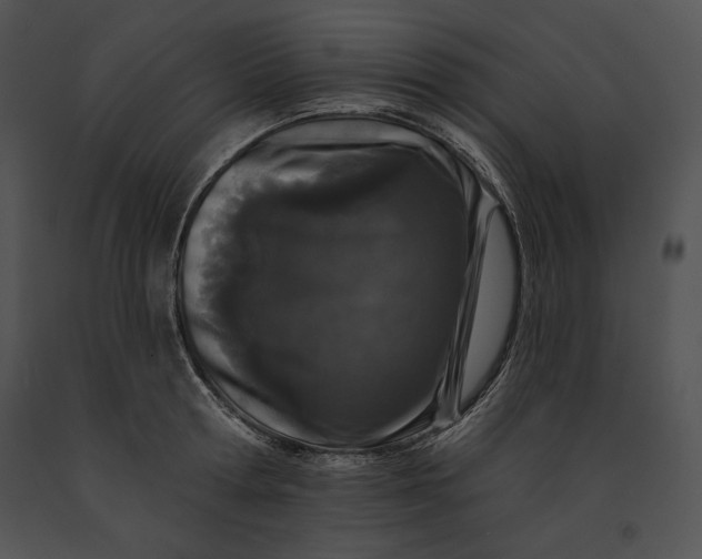 X0000091170802200708301154