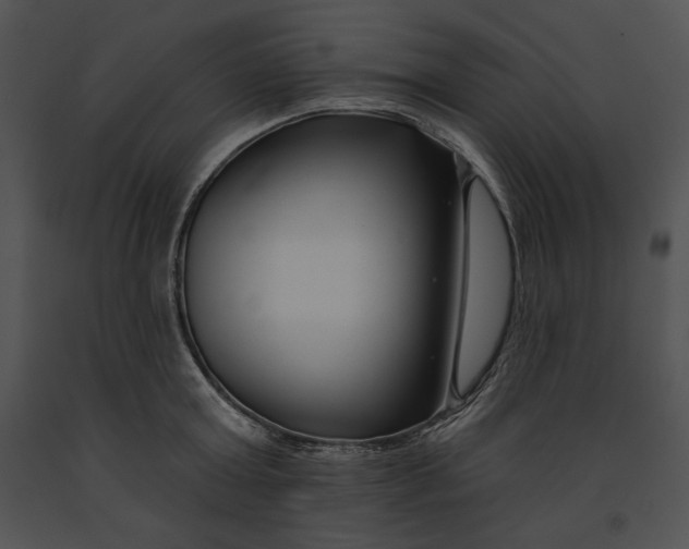 X0000091170803200708301154