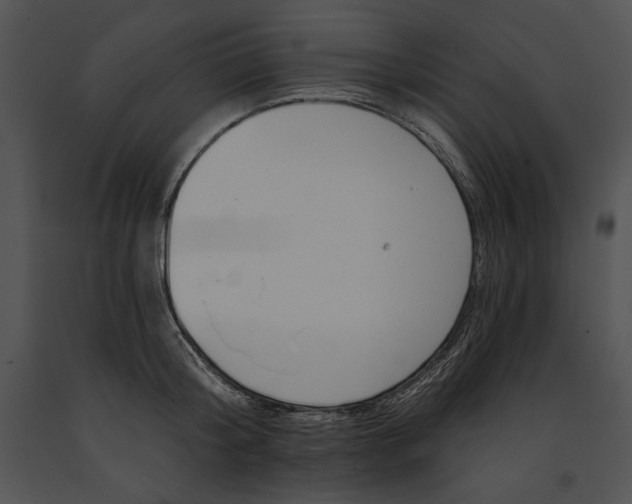 X0000091170804200708301154