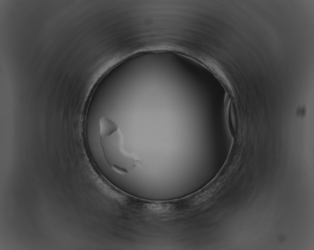 X0000091170805200708301154