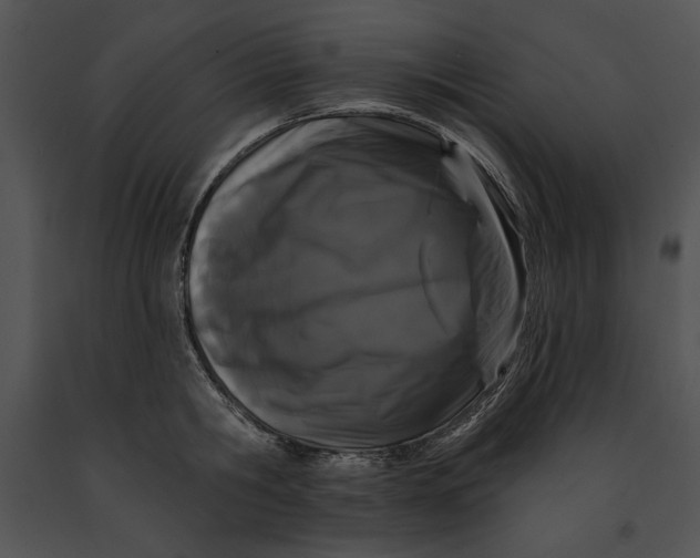 X0000091170806200708301154