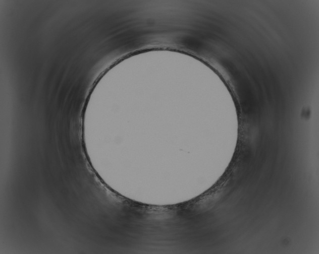 X0000091170807200708301154