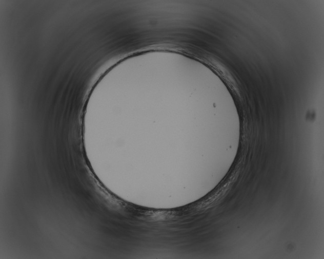 X0000091170808200708301154