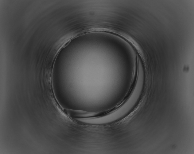 X0000091170809200708301154