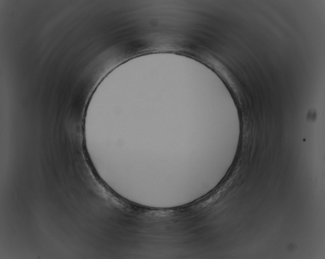 X0000091170810200708301154