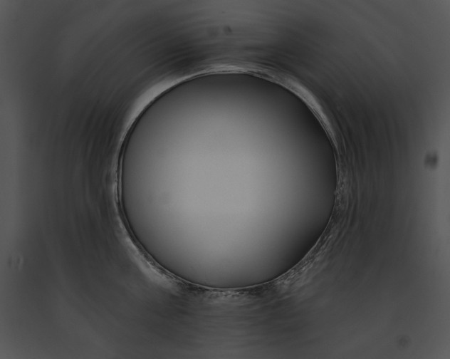 X0000091170811200708301154