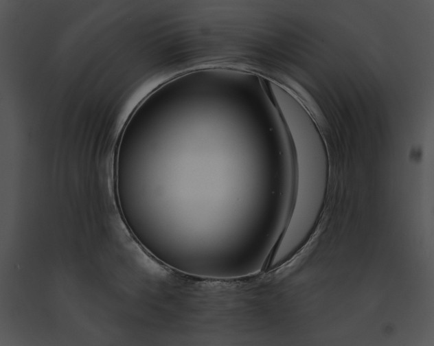 X0000091170812200708301154