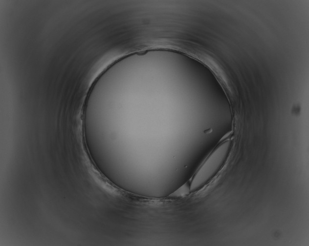 X0000091170814200708301154