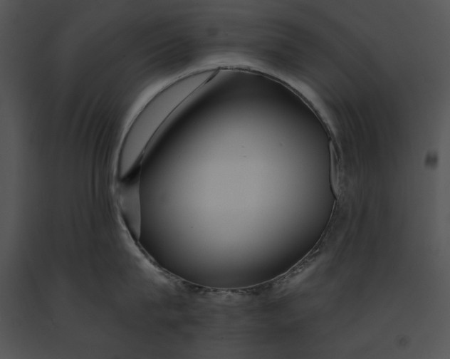 X0000091170815200708301154