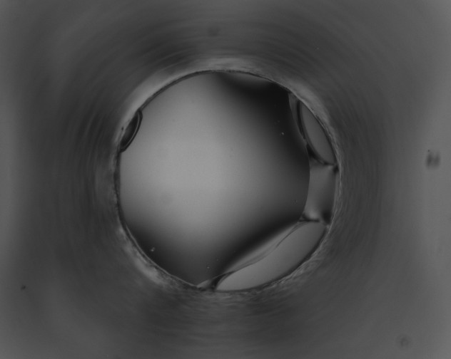 X0000091170816200708301154