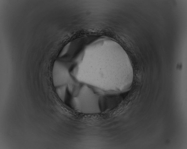 X0000091170817200708301153