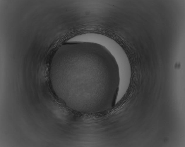 X0000091170818200708301153