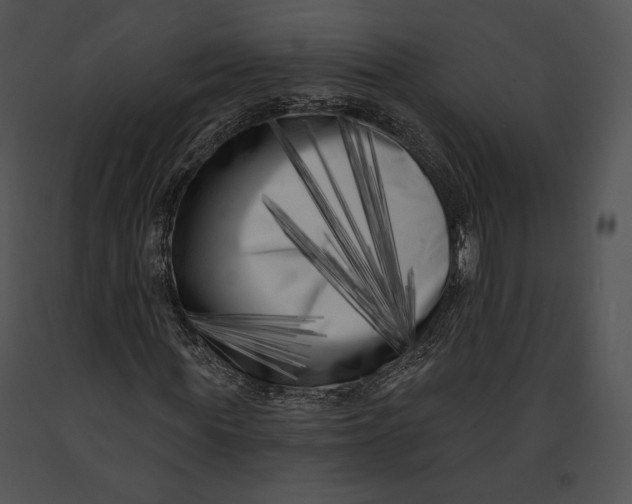 X0000091170819200708301153